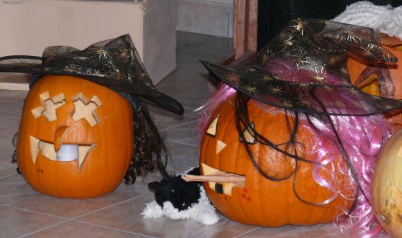 Halloweenowy Europejski Dzień Języków Obcych