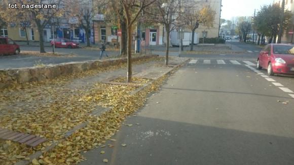 Miejskie obrazki. Brudna jesień w Kutnie w pełni