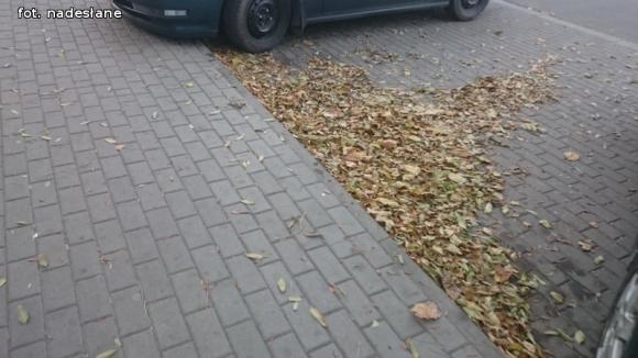 Miejskie obrazki. Brudna jesień w Kutnie w pełni