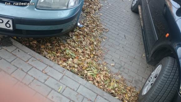 Miejskie obrazki. Brudna jesień w Kutnie w pełni