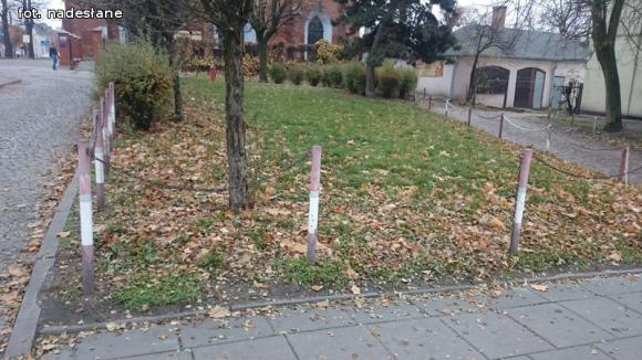 Miejskie obrazki. Brudna jesień w Kutnie w pełni