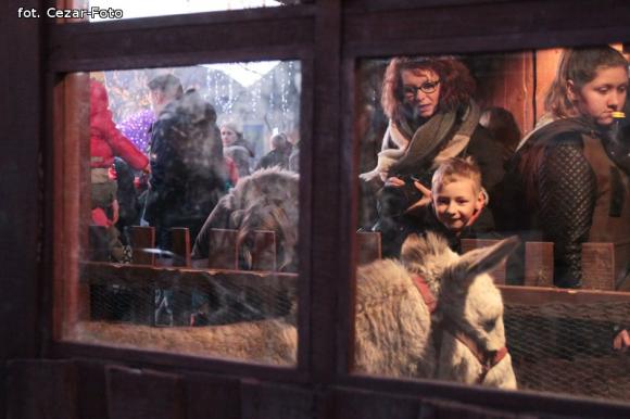 Gwiazda Zbawcę im ogłasza, Nadzieją się cieszą. Wigilia pod Ratuszem