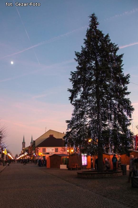 Gwiazda Zbawcę im ogłasza, Nadzieją się cieszą. Wigilia pod Ratuszem