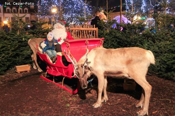 Gwiazda Zbawcę im ogłasza, Nadzieją się cieszą. Wigilia pod Ratuszem