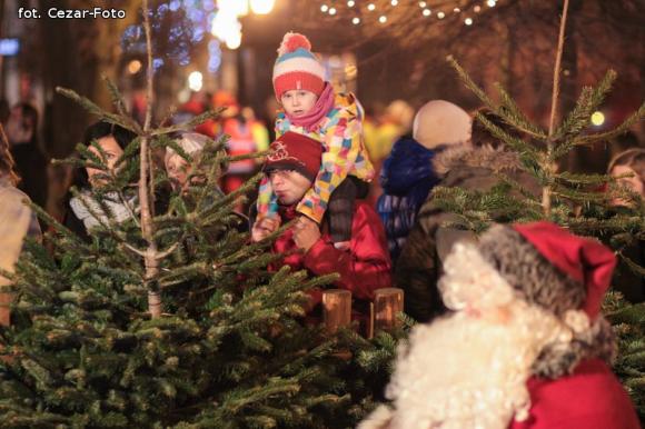 Gwiazda Zbawcę im ogłasza, Nadzieją się cieszą. Wigilia pod Ratuszem