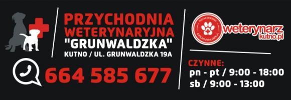 Klub Szczeniaka. Czekamy na zgłoszenia