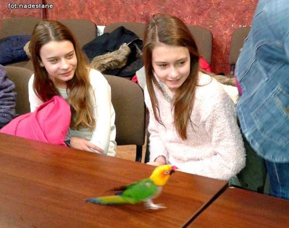 Podsumowanie ferii w Bibliotece w Żychlinie