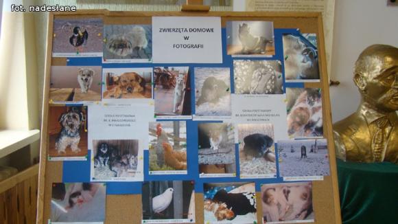 Jak Wiosnę witali w Strzegocinie?