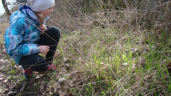 Jak Wiosnę witali w Strzegocinie?