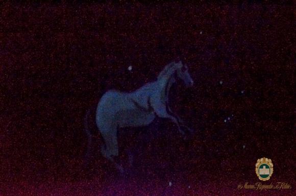 Mobilne planetarium w Muzeum