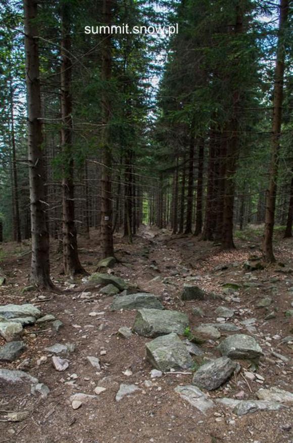 Wakacje w górach: Luksus Miedzygórza