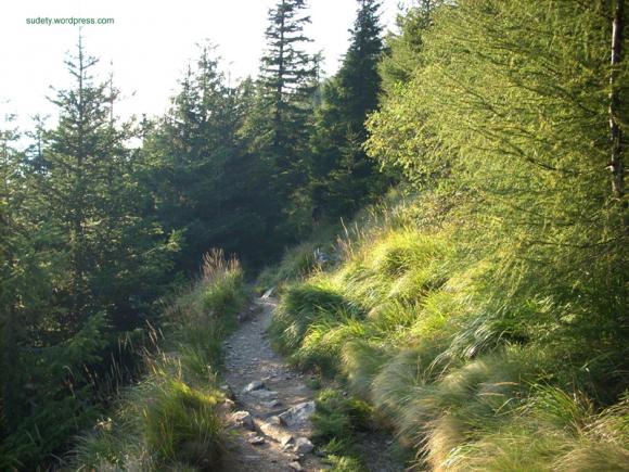 Wakacje w górach: Luksus Miedzygórza