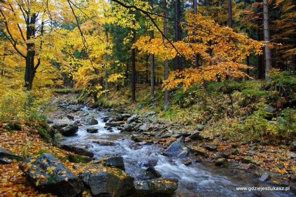 Wakacje w górach: Luksus Miedzygórza