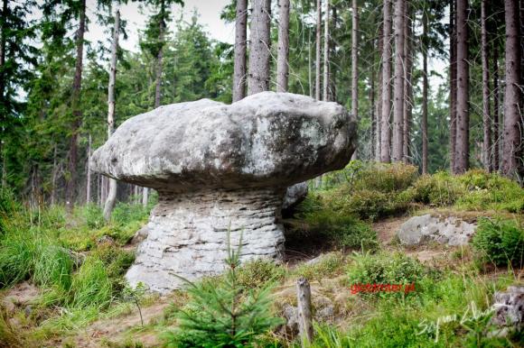 Majowy weekend tuż, tuż: Skalne Grzyby, tajemnicze labirynty, a na koniec wody lecznicze