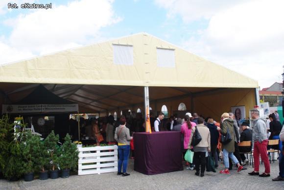 Pod patronatem eKutno.pl: Dziś II Kutnowski Piknik Naukowy