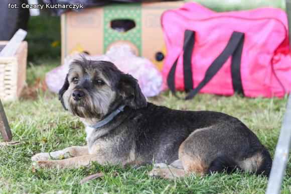 Lunapark do jutra w Kutnie