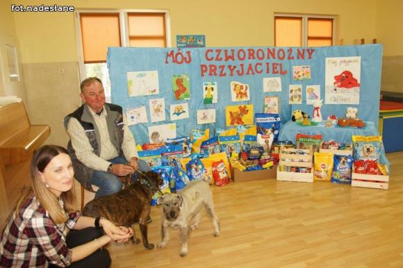 Nadzieja dla nieszczęśliwych psiaków w małych serduszkach przedszkolaków z 