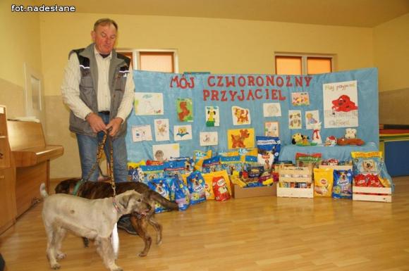 Nadzieja dla nieszczęśliwych psiaków w małych serduszkach przedszkolaków z 