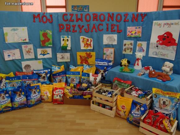 Nadzieja dla nieszczęśliwych psiaków w małych serduszkach przedszkolaków z 