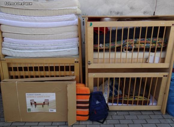 Nadzieja dla nieszczęśliwych psiaków w małych serduszkach przedszkolaków z 