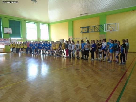 Strzelce: Turniej Piłki Siatkowej Dziewcząt o Puchar Dyrektora Szkoły