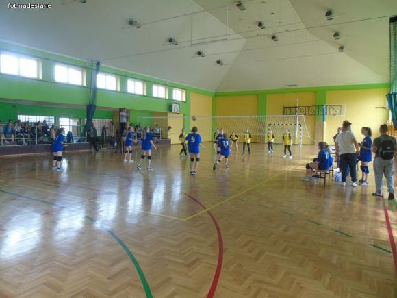 Strzelce: Turniej Piłki Siatkowej Dziewcząt o Puchar Dyrektora Szkoły