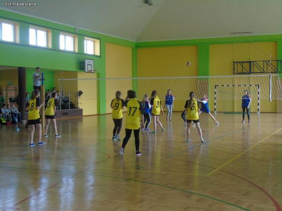 Strzelce: Turniej Piłki Siatkowej Dziewcząt o Puchar Dyrektora Szkoły