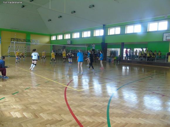 Strzelce: Turniej Piłki Siatkowej Dziewcząt o Puchar Dyrektora Szkoły