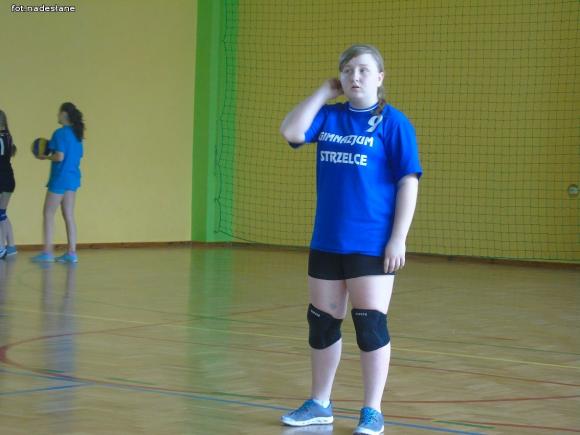 Strzelce: Turniej Piłki Siatkowej Dziewcząt o Puchar Dyrektora Szkoły