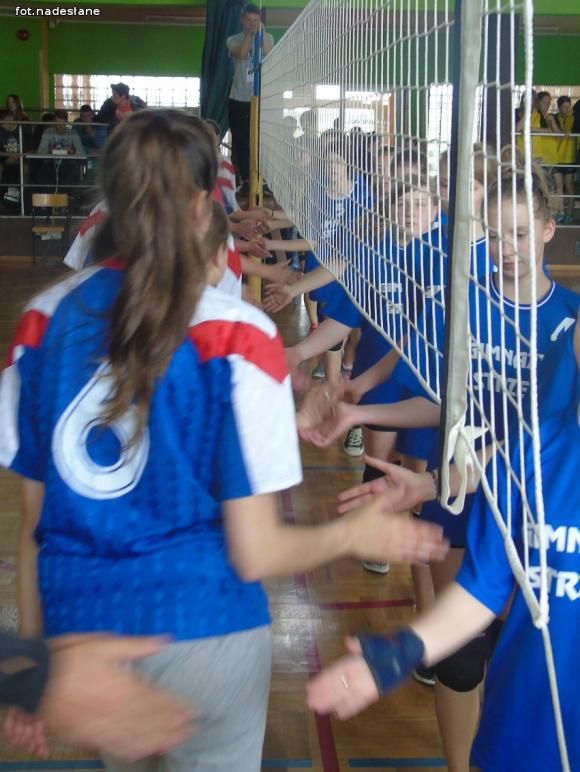 Strzelce: Turniej Piłki Siatkowej Dziewcząt o Puchar Dyrektora Szkoły