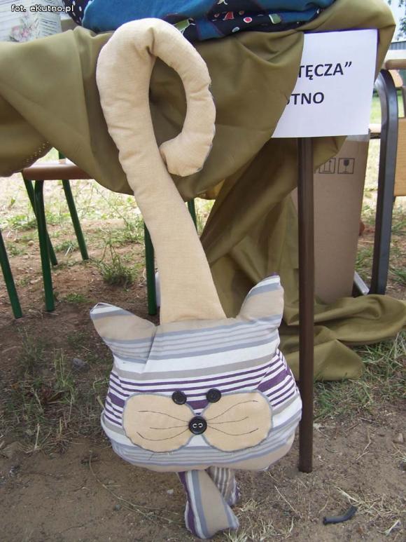 Wszelakie talenty na Pikniku z Kulturą w Żychlinie