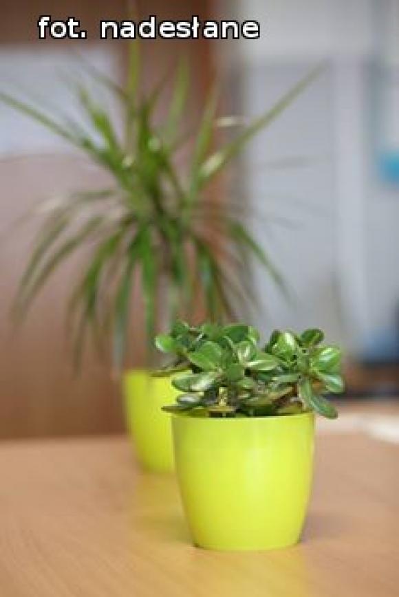 Stowarzyszenie INTERSUM realizuje kolejny projekt dla wychowanków MOS