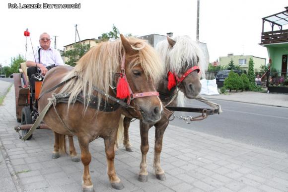 Dybowskie Spotkania Odpustowe i festyn rodzinny