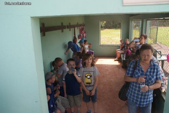 Lokalny program wychowania fizycznego Graj w baseball