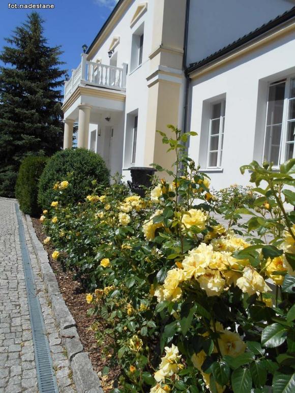 Urocza wycieczka Szlakiem Dworków Regionu Kutnowskiego