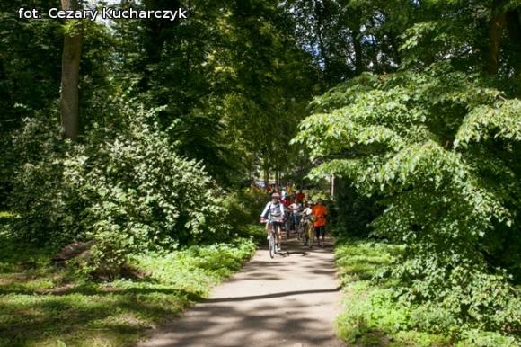 Odjazdowy Bibliotekarz za nami
