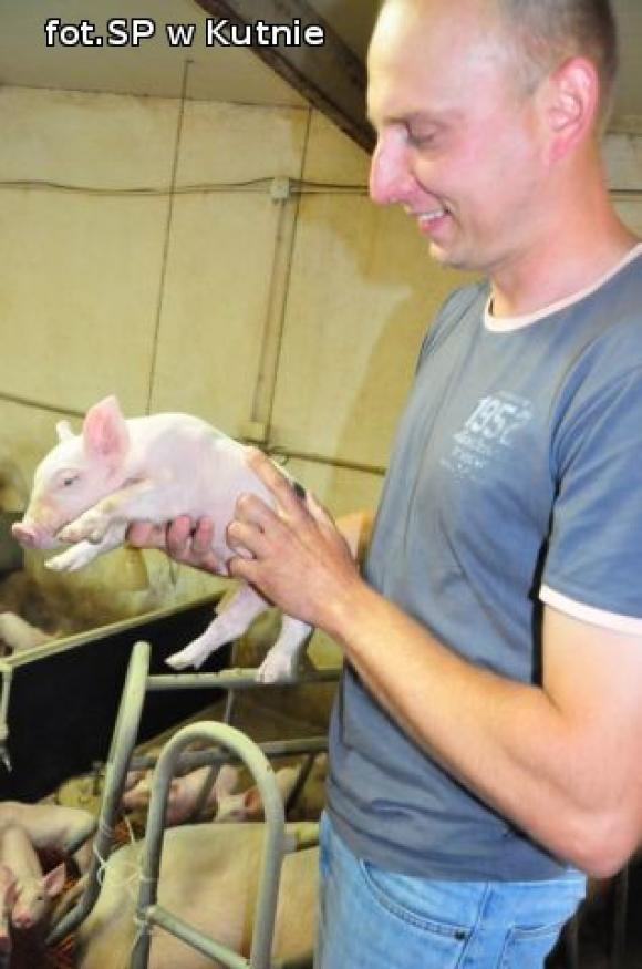 Firmy z gmin Krośniewice i Nowe Ostrowy walczą o Lwa Kutnowskiego