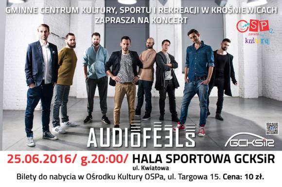 W Krośniewicach wystąpi Audiofeels