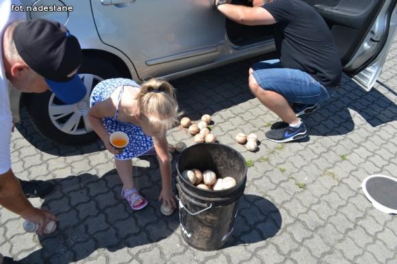 MKS Stal- BiS Kutno zagra w Londynie