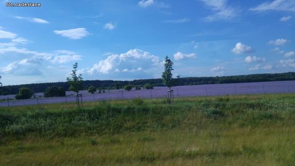 Relacja kutnowskich baseballistów z Londynu