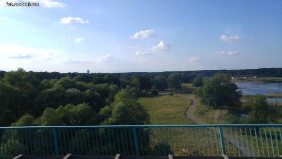 Relacja kutnowskich baseballistów z Londynu