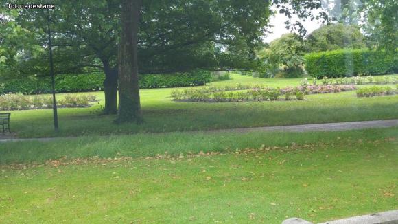 Relacja kutnowskich baseballistów z Londynu