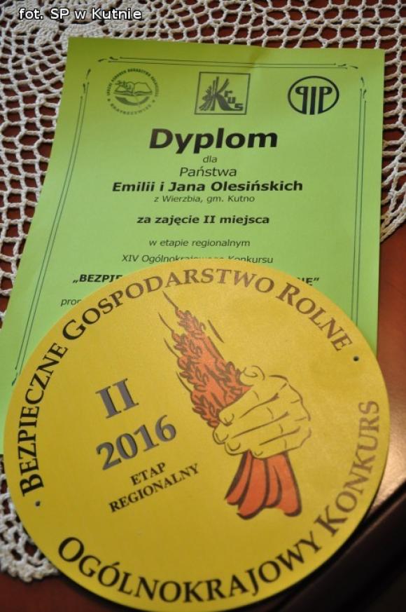 Kandydaci do Lwa Kutnowskiego z gmin Krośniewice, Kutno, Strzelce i Dąbrowice