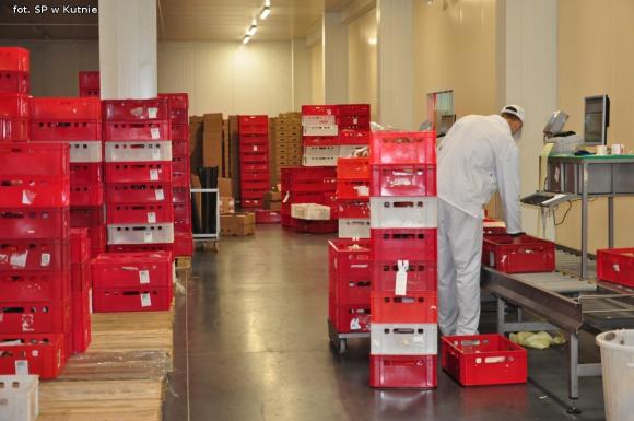 Kandydaci do Lwa Kutnowskiego z gmin Krośniewice, Kutno, Strzelce i Dąbrowice