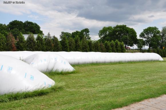 Kandydaci do Lwa Kutnowskiego z gmin z Łanięta, Oporów, Strzelce i Żychlin