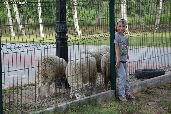 Wakacje z Żychlińskim Domem Kultury