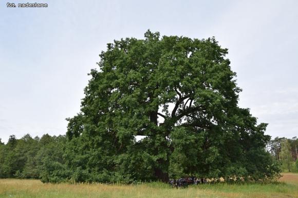 Wakacje z Żychlińskim Domem Kultury
