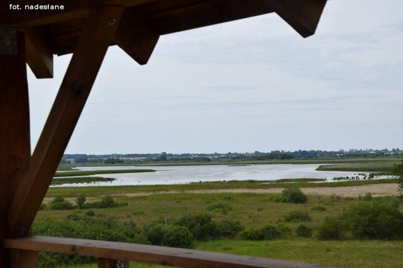 Wakacje z Żychlińskim Domem Kultury