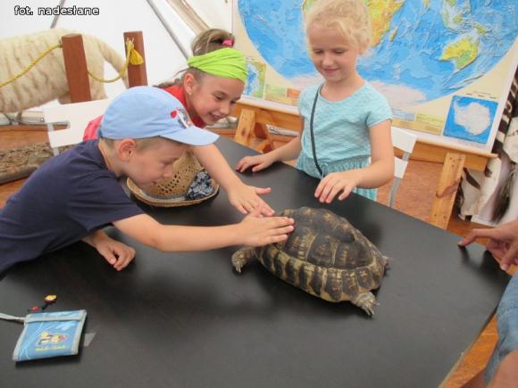 Udane wakacje z MDKiem