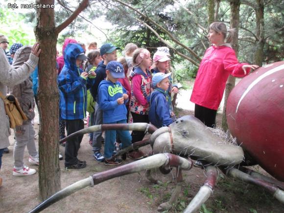 Udane wakacje z MDKiem